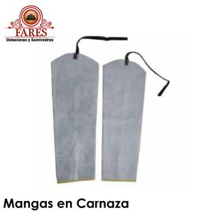 Mangas en Carnaza